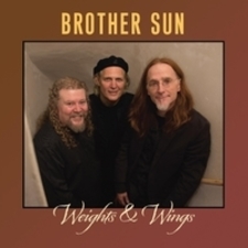 cover of Weights & Wings
